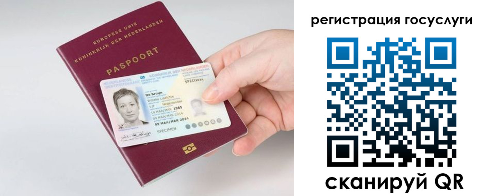 регистрация для дет. сада в Павловске