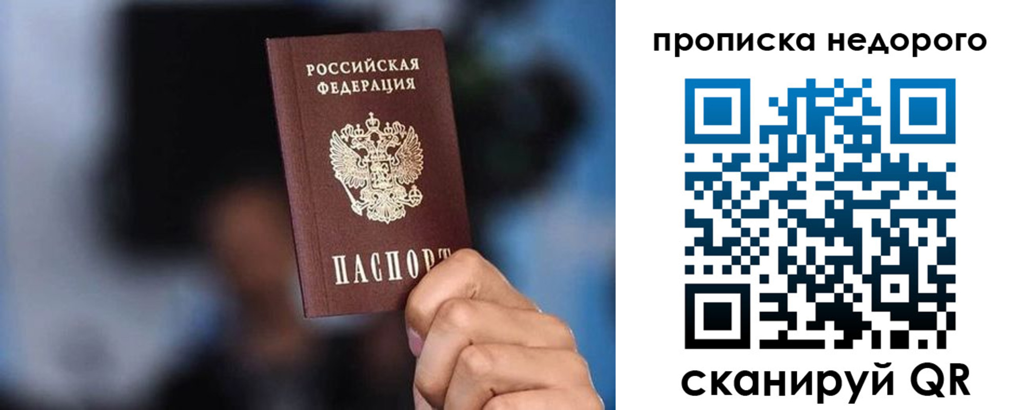 временная регистрация поиск в Павловске